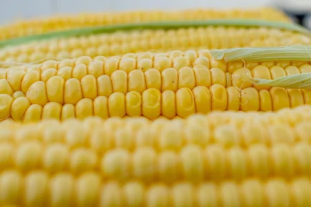 Zbliżenie na ziarna kukurydzy w kolbie, widoczne rzędy i włókna, tło do opisu produktu